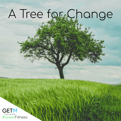 GETM Training Green Fitness Initiative: A Tree For Change
